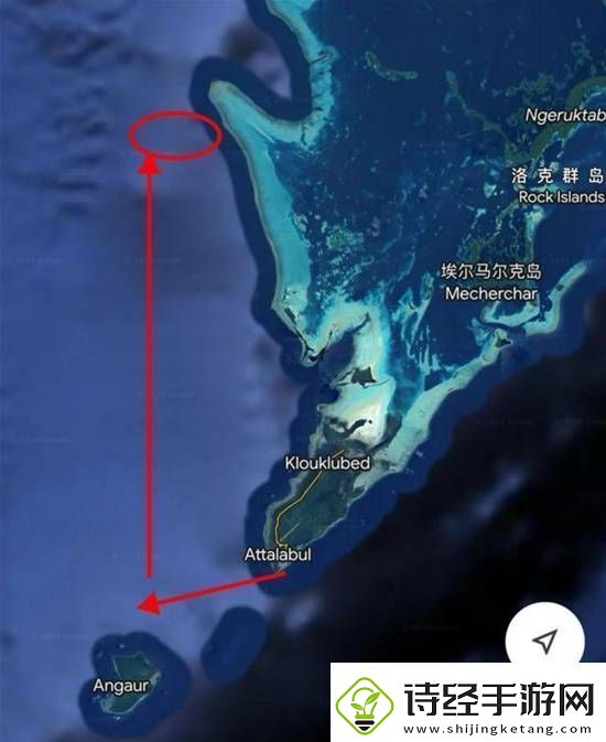 你敢信吗9人潜水失联28小时被7条鲨鱼环绕却生还