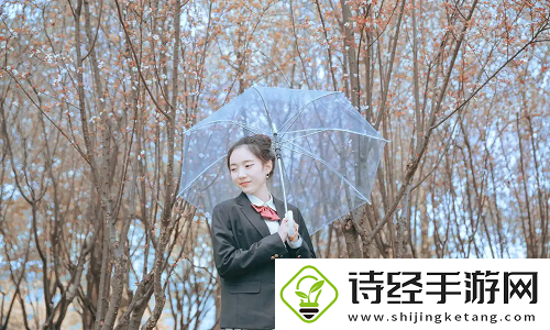 成品动漫网站入口网页版如何打开