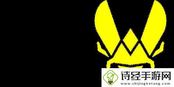 2025赛场遗珠盘点
