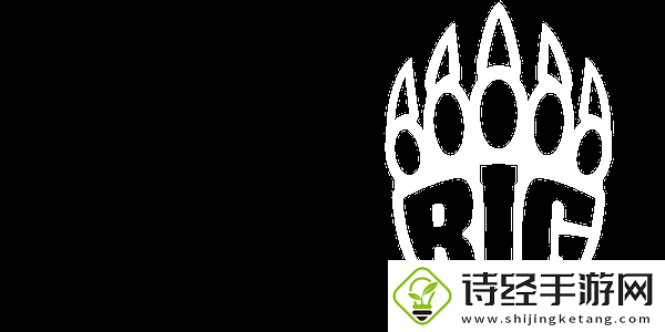 2025赛场遗珠盘点