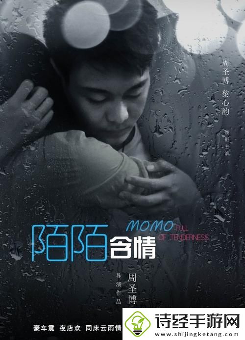 陌陌影视在线观看高清完整版影片