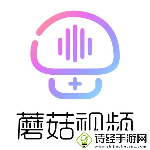 探索无限乐趣