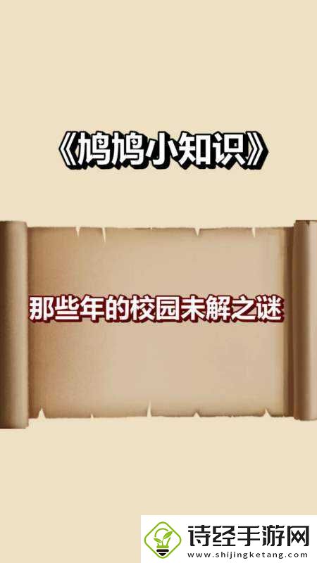 答案