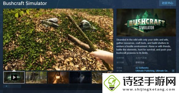 丛林生存模拟器bushcraft