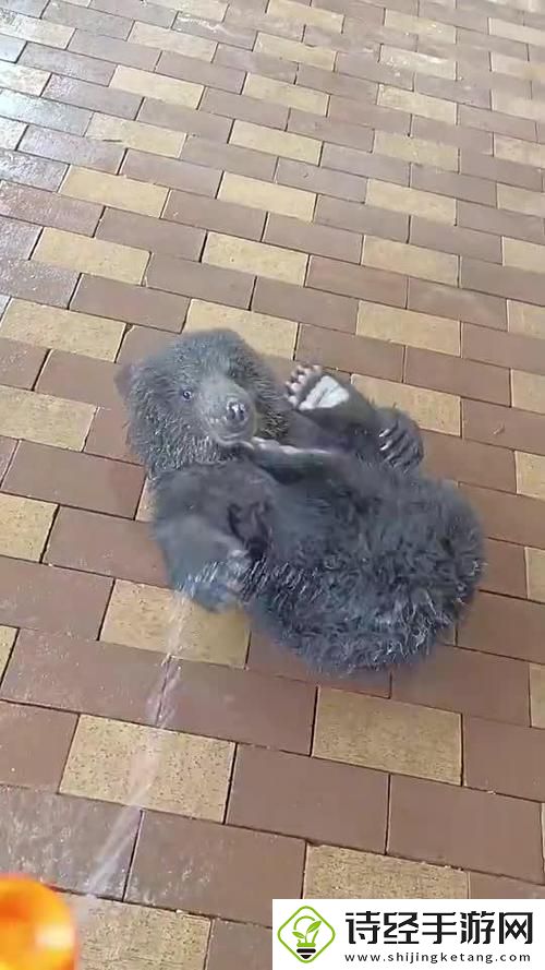 让人感动啊