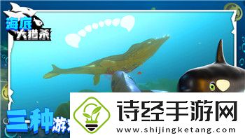 刺客信条奥德赛马匹皮肤有什么用啊
