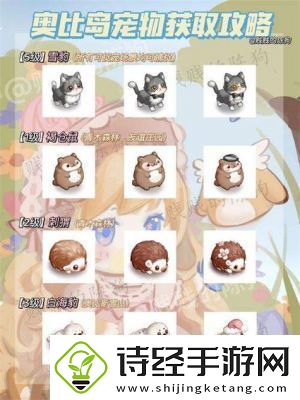奥比岛手游星宠物全攻略