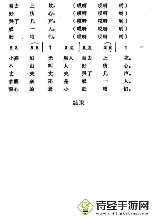 小寡妇汆白肉经典十首歌曲