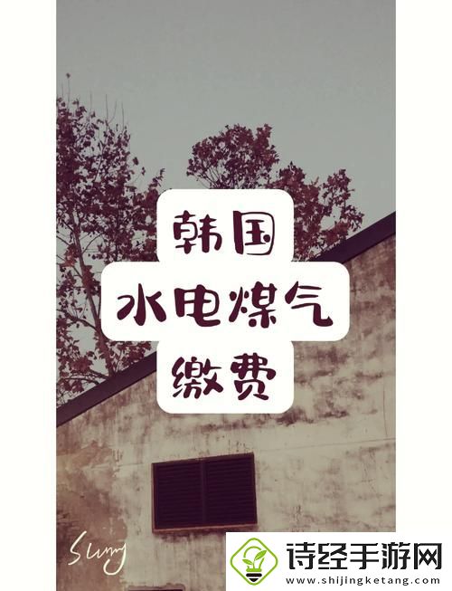 好看的韩国三色电费政策