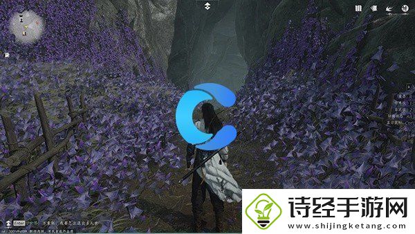 燕云十六声佛花与鼠每日任务玩法