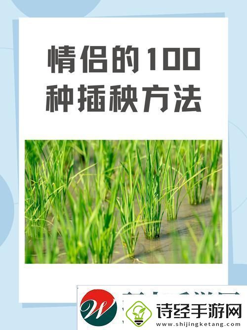 夫妻插秧38种方法大全探索田间的默契之舞