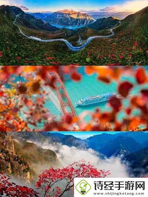 大地视频浏览二页