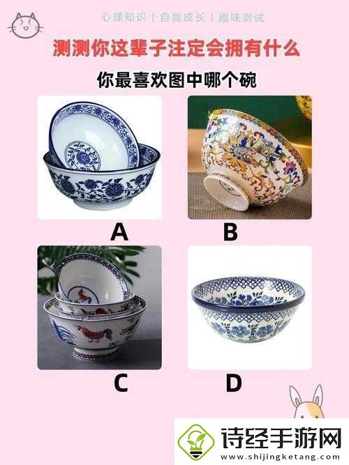 选bbbbbb究竟有何独特魅力引发关注探讨