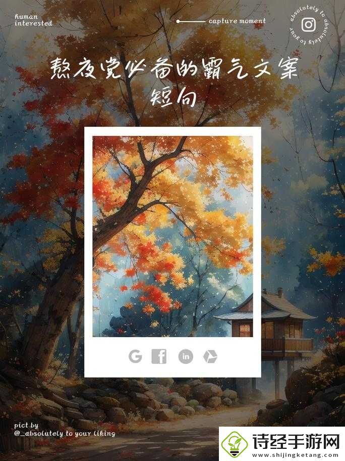 晚上睡不着偷偷看