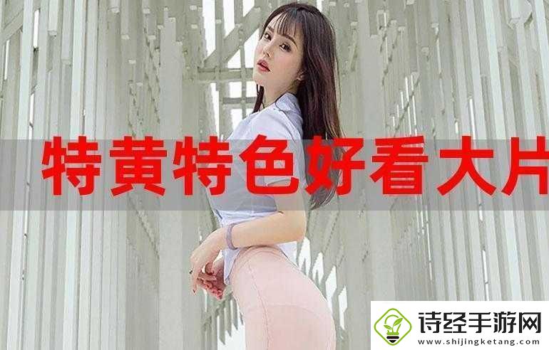 荔枝视频在线观看