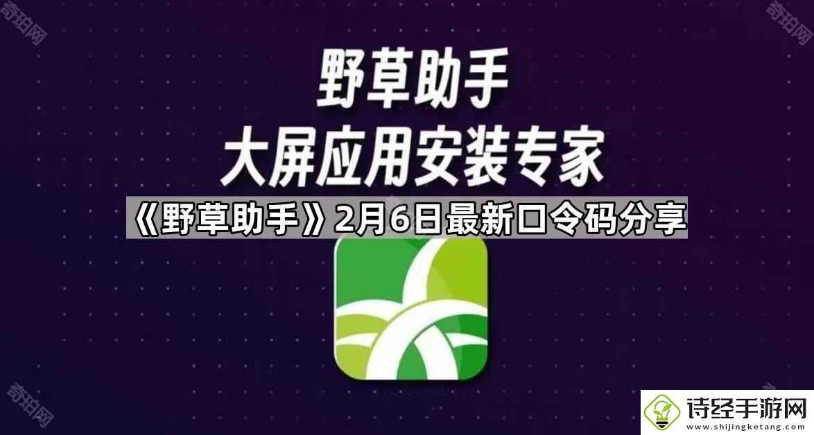 野草助手2.6最新视频口令是什么