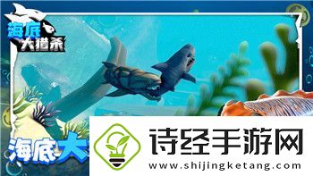 泰拉瑞亚灾厄最强饰品搭配的样式与策略