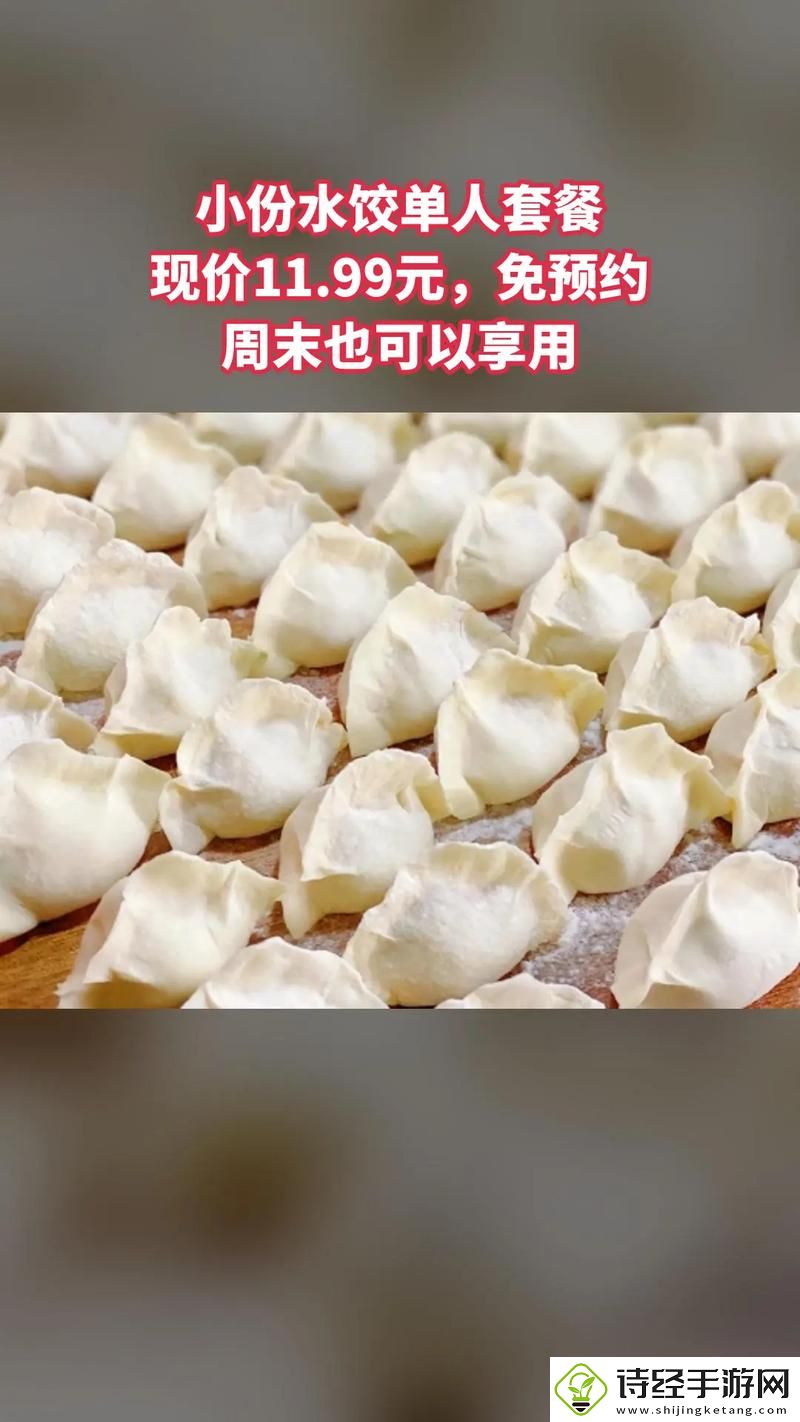 美味与创意兼具的“授课方式po肉馅小水饺视频”