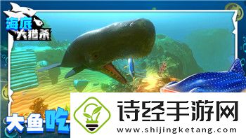 无极仙途问道琼英传