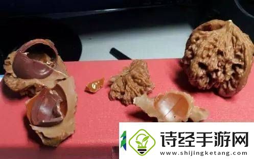 辨别金刚菩提真假