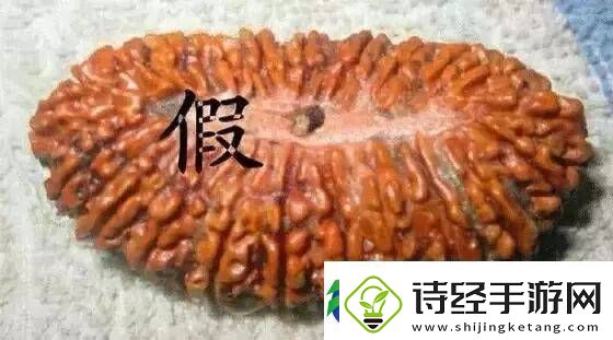 辨别金刚菩提真假