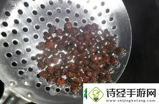 辨别金刚菩提真假