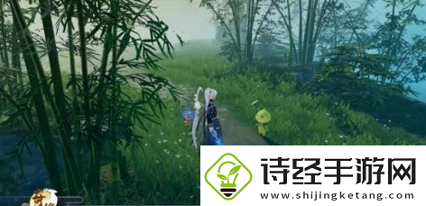 梦幻新诛仙天道奇缘任务怎么过