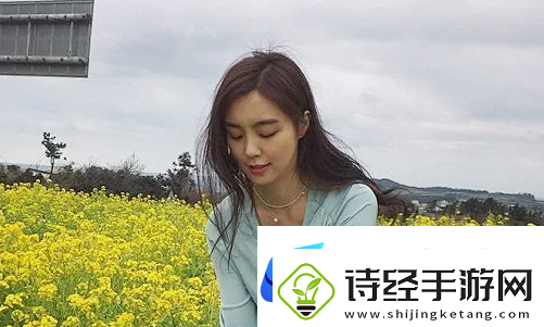 日本免费三色电费2024年