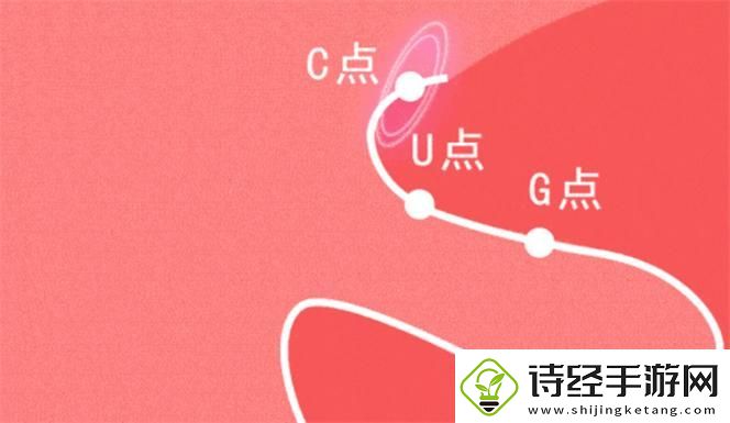 完美掌握设计技能