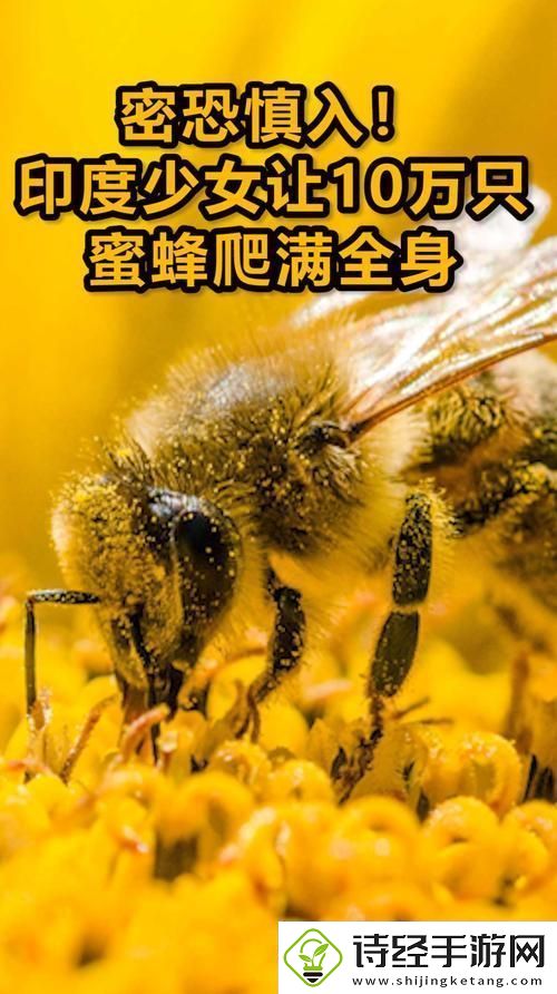 内容丰富一下痛两下麻三下就像蜜蜂爬