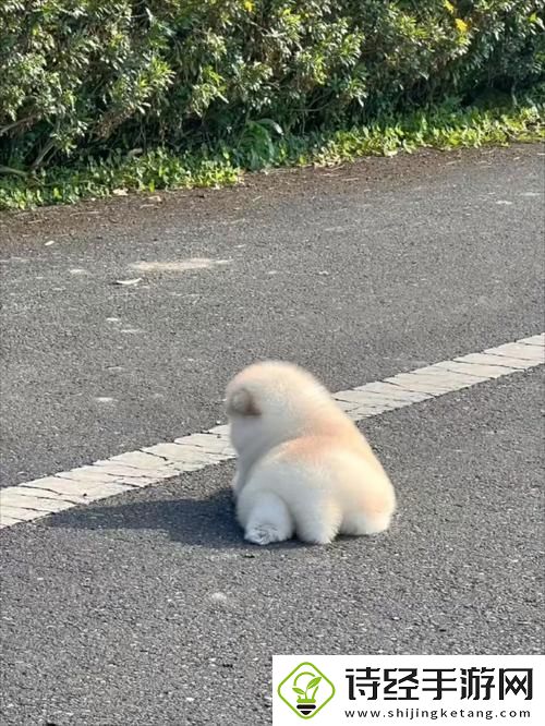在时间的河流中