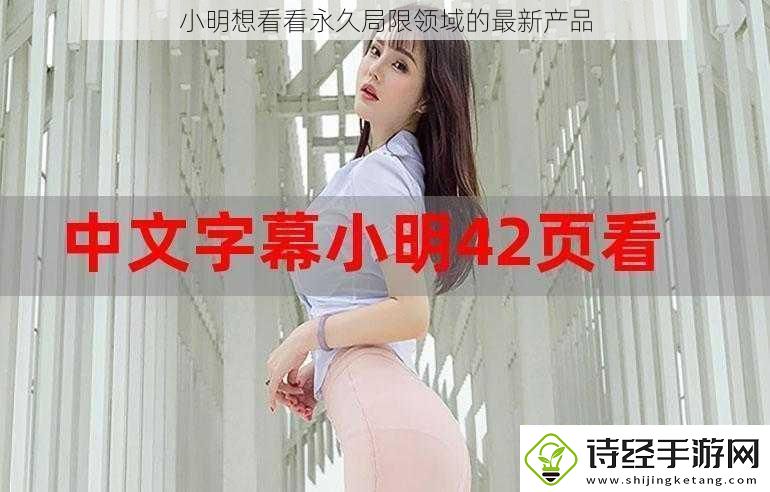 小明想看看永久局限领域的最新产品