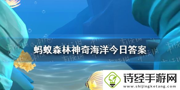 以下哪种鲨鱼能跳跃出水面