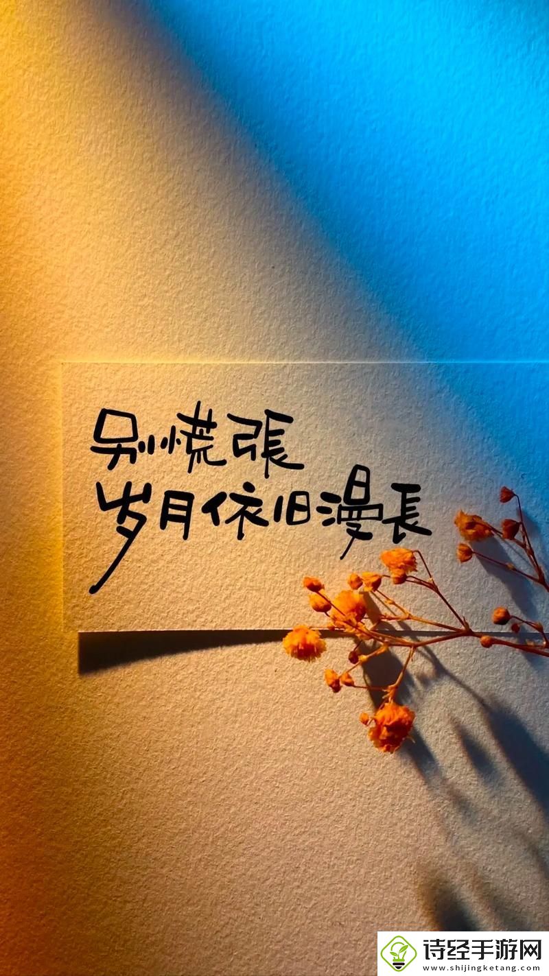 岁岁常欢愉结局