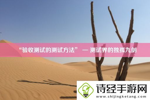 “验收测试的测试方法”