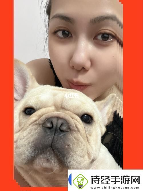 zoomdog2021猪