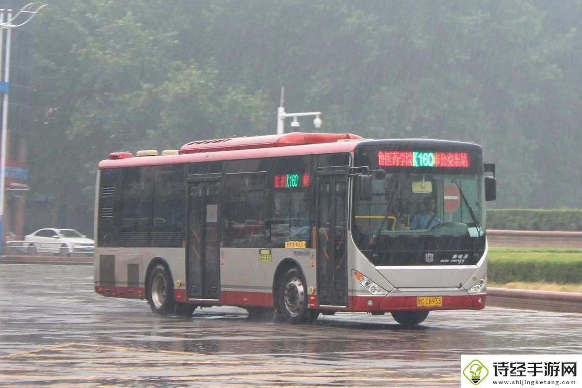 自由自在坐公交车一晃一晃进入——城市生活的新奇体验