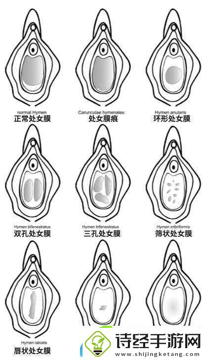 破外女出血一级毛片相关内容不适合宣扬和传播