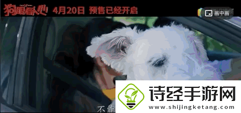 人狗大战java代码据爆料已复活